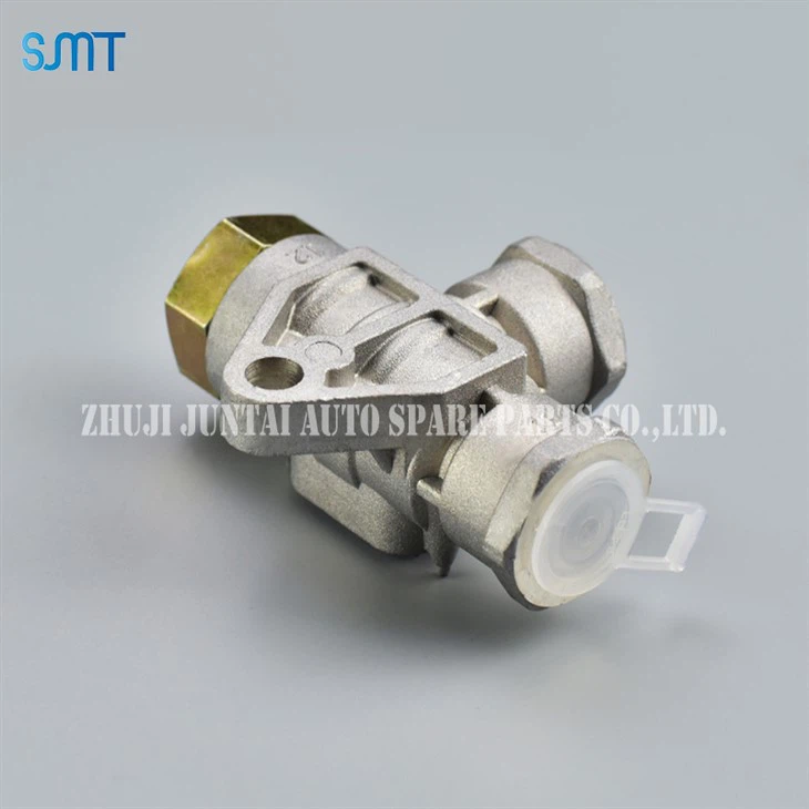 Duplex Check Valve factory